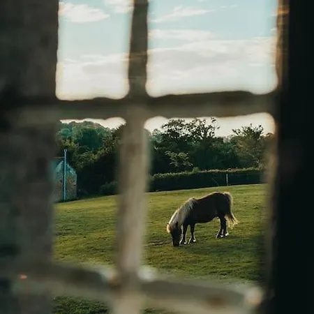 Gîte charmant à la campagne Cherence-le-Heron